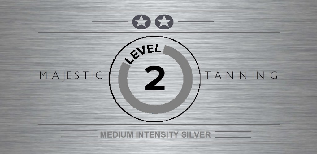 LEVEL 2 SILVER