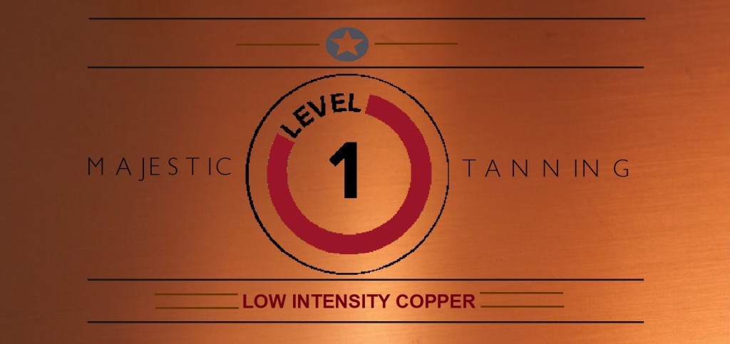 level 1 copper