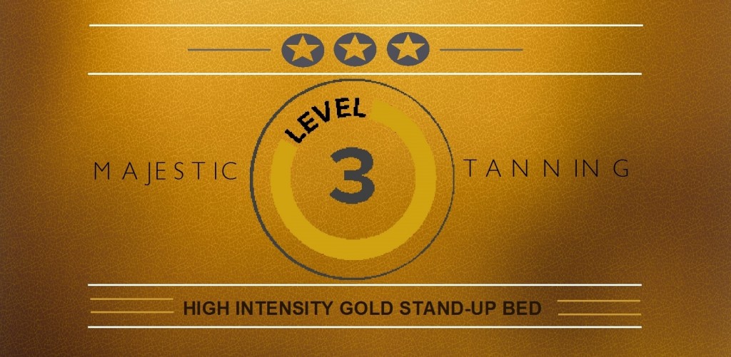 level 3 gold (2)